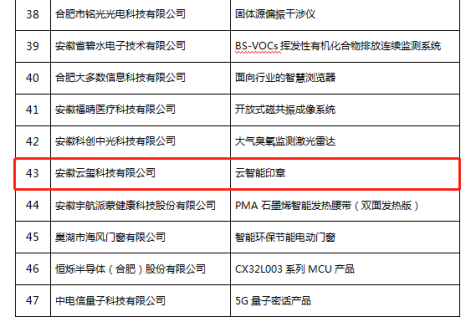 恭喜！云智能印章入選安徽省第九批信息消費(fèi)創(chuàng)新產(chǎn)品名單！(圖3)